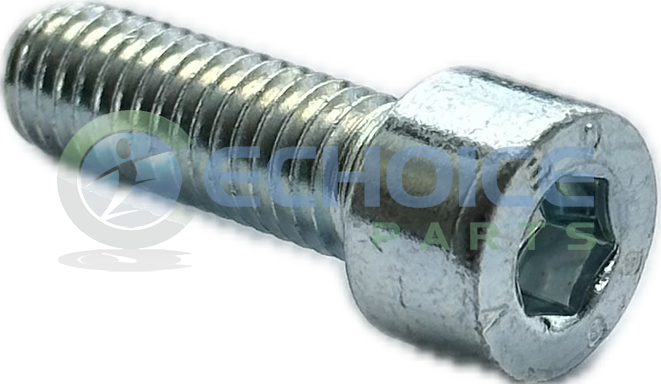 Cylinder Screw, Jenbacher, 100207