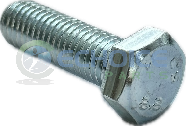 Hexagonal Head Screw, Jenbacher, 100476