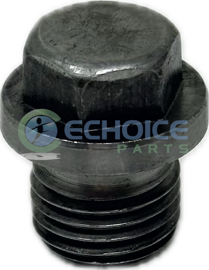 Screw Plug, Jenbacher, 101171