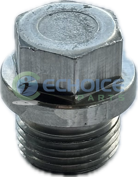 Screw Plug, Jenbacher, 101173