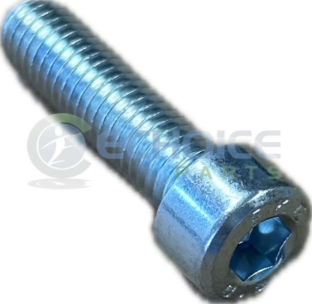 Cylinder Screw, Jenbacher, 101371