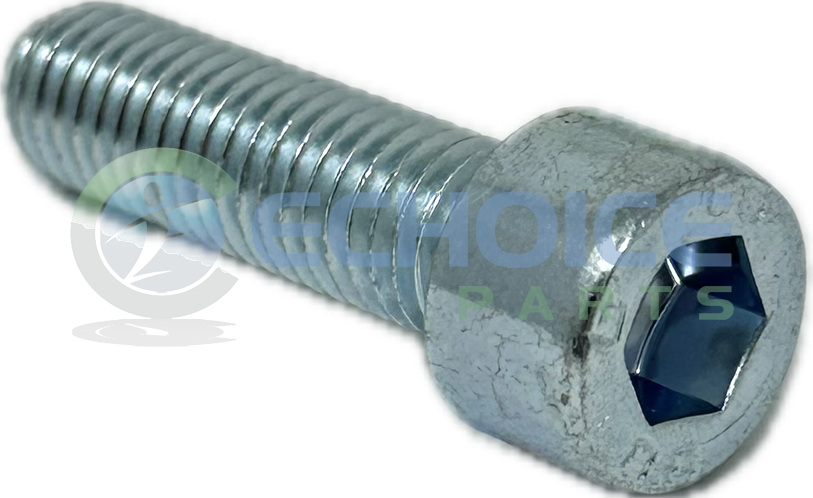 Cylinder Screw, Jenbacher, 101384