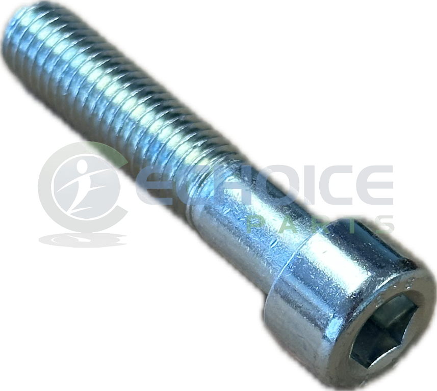 Cylinder screw, Jenbacher, 101387