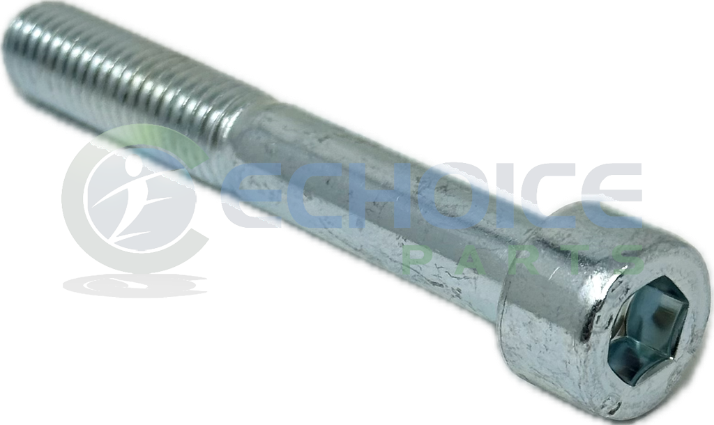 Cylinder screw, Jenbacher, 101598