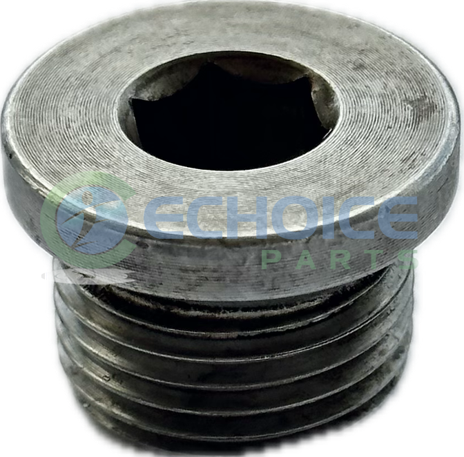 Screw Plug, Jenbacher, 419635